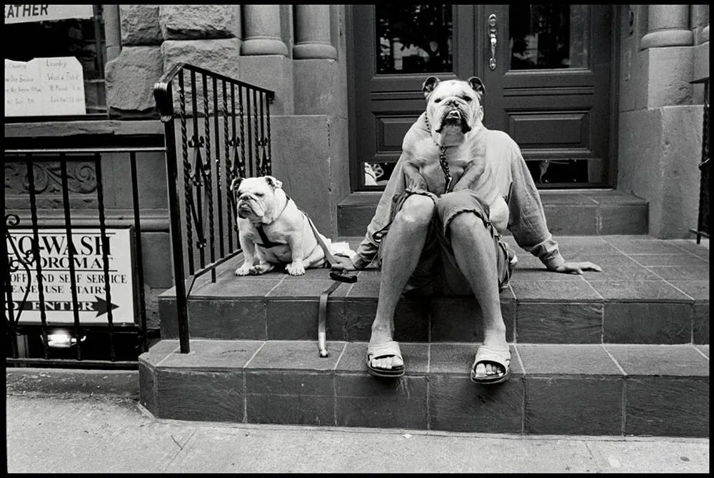Elliott Erwitt, 2000