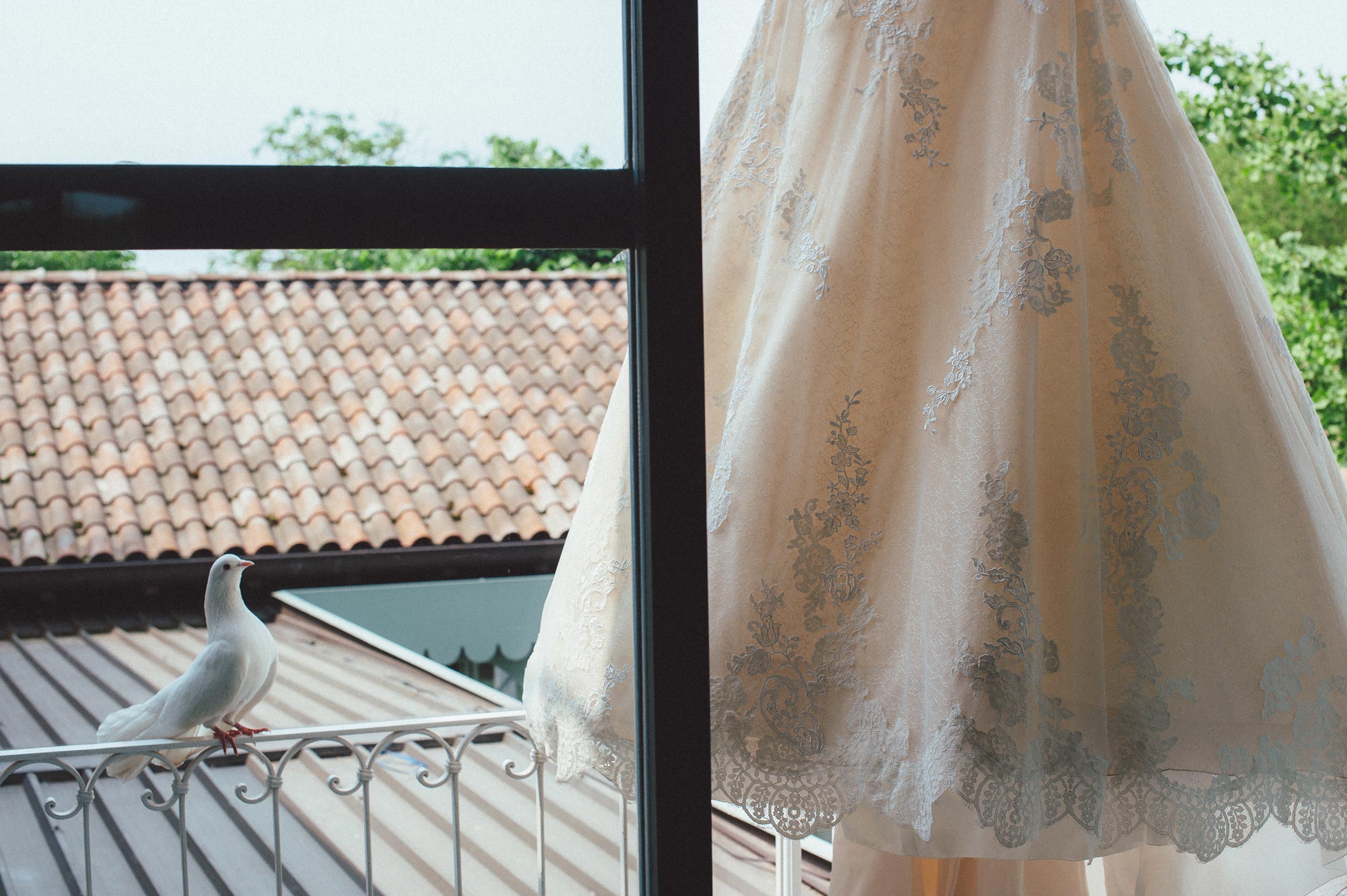 the dove and the wedding dress in italy