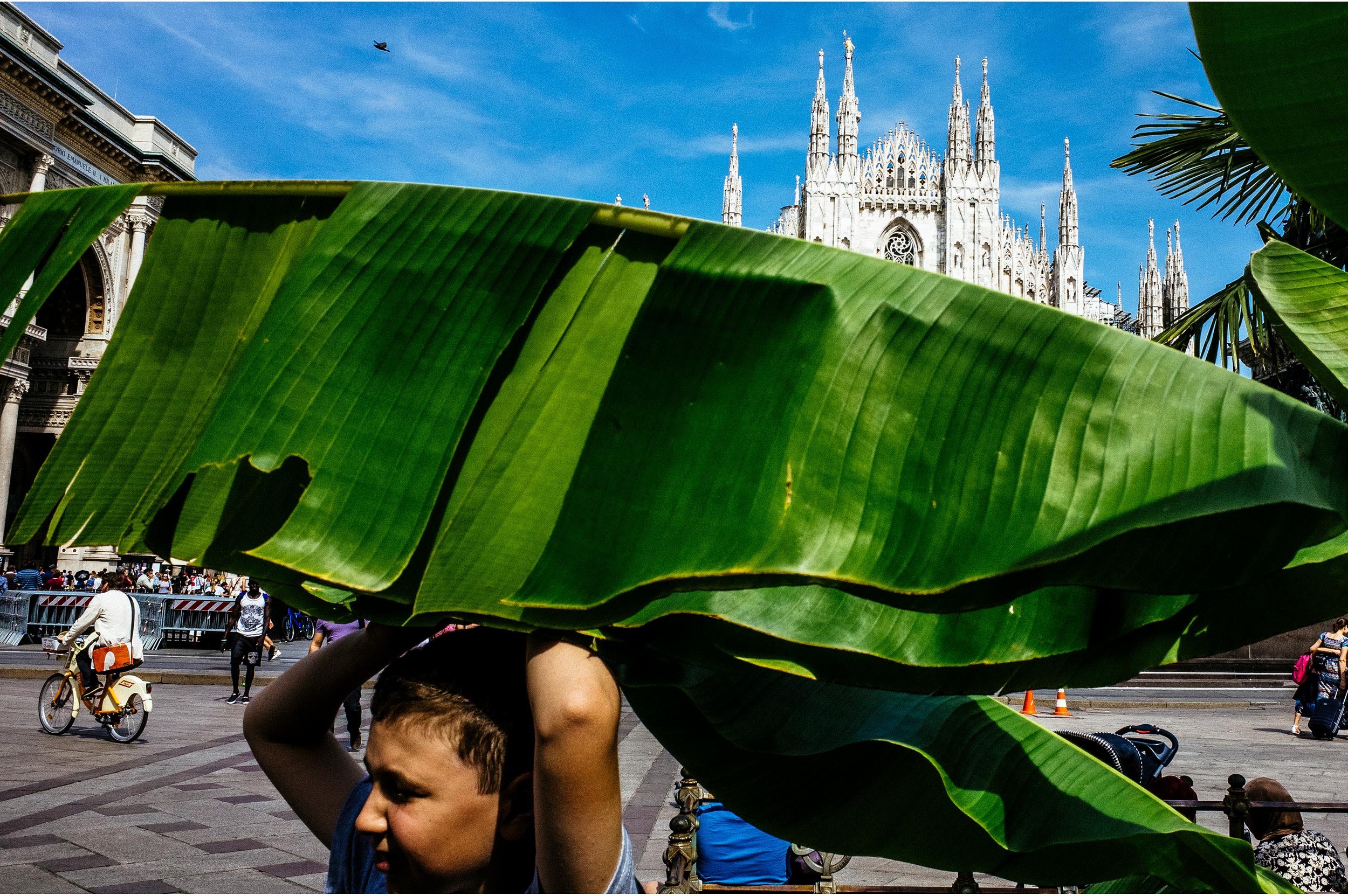 Milan Italy - Kid, palm tree, bicycle and cathedral